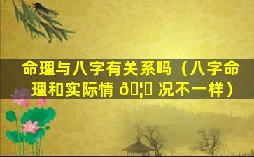 命理与八字有关系吗（八字命理和实际情 🦋 况不一样）